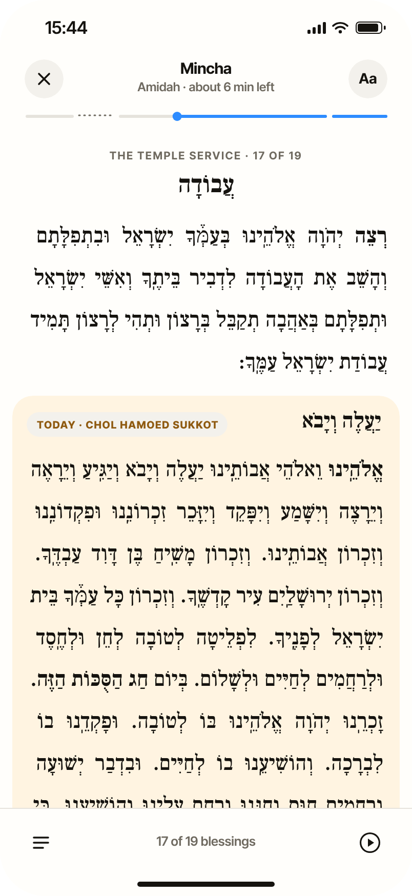 Reader with Ya'aleh VeYavo highlighted